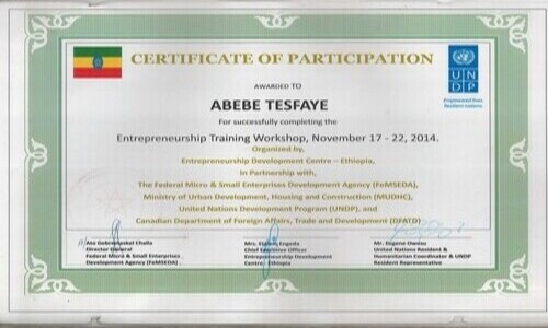 Certification for Entrepreneurial Oriented Workshop